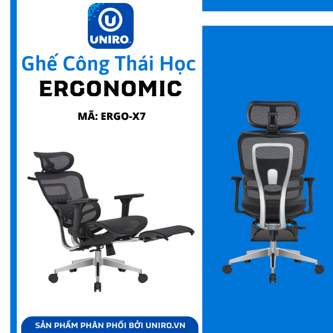 Ghế công thái học Ergo X7 lưới Wintex cao cấp khung hợp kim nhôm nguyên khối Piston Class 4